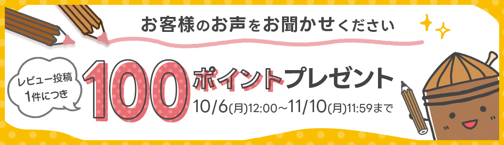 レビュー投稿キャンペーン レビュー投稿でもれなく100ポイントプレゼント
