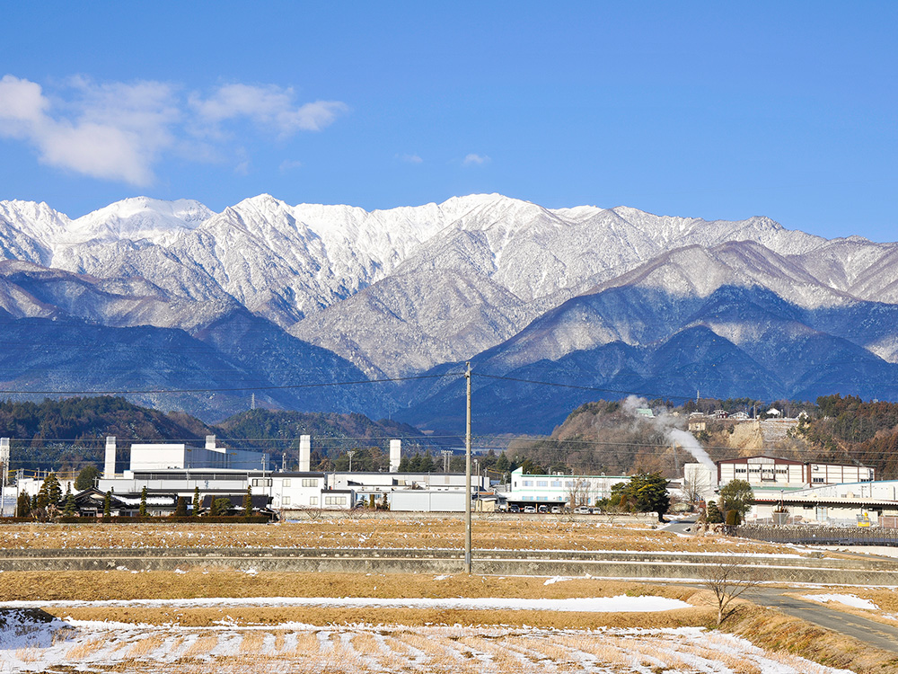 大寒仕込みとは